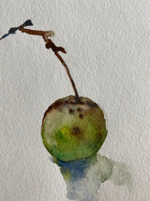 Image of The Wild Apple Picked by the River