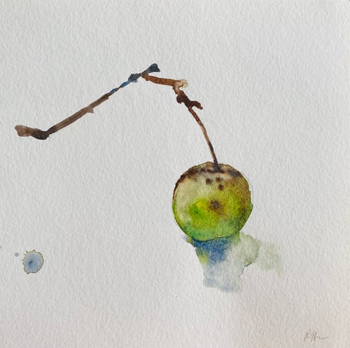 Image of The Wild Apple Picked by the River 