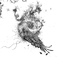 Image 3 of Wild Strawberries - Print 