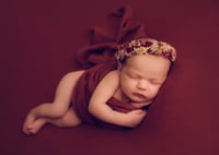 Image 3 of Booking Fee: Newborn (Studio)