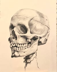 Head Bones - Original