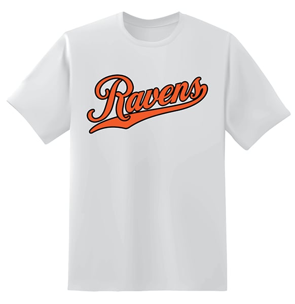 Image of Baltimore Orange Raven Orioles T-Shirt (Gray)