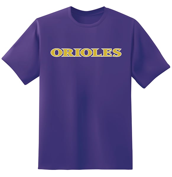 Image of Baltimore Purple Orioles Raven T-Shirt (Purple)