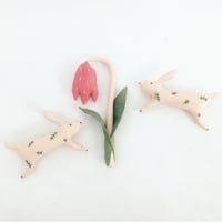 Image 1 of cocon fritillary