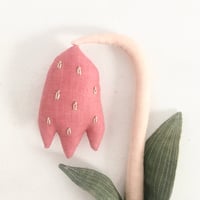 Image 3 of cocon fritillary
