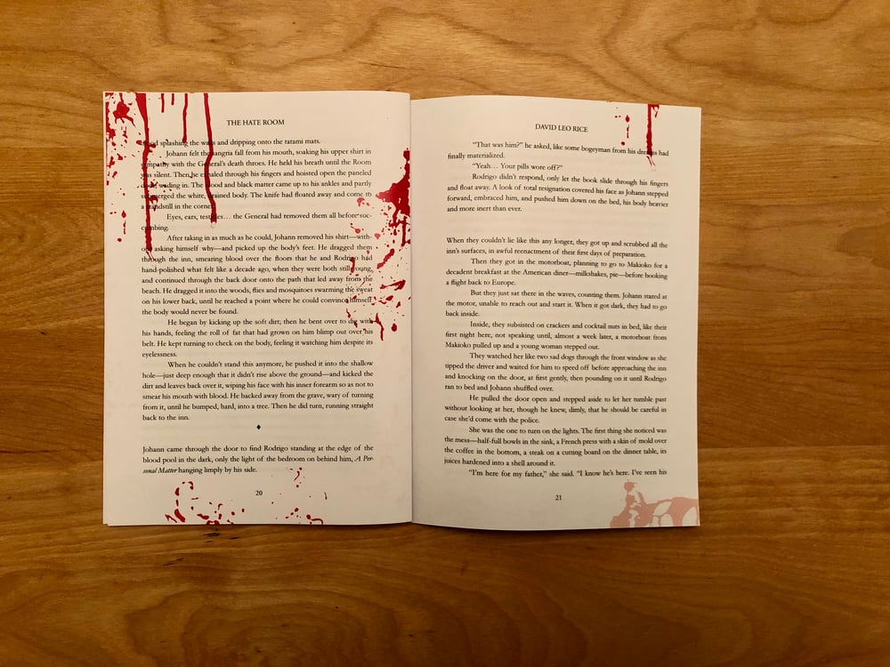 'Drifter: Stories' by David Leo Rice