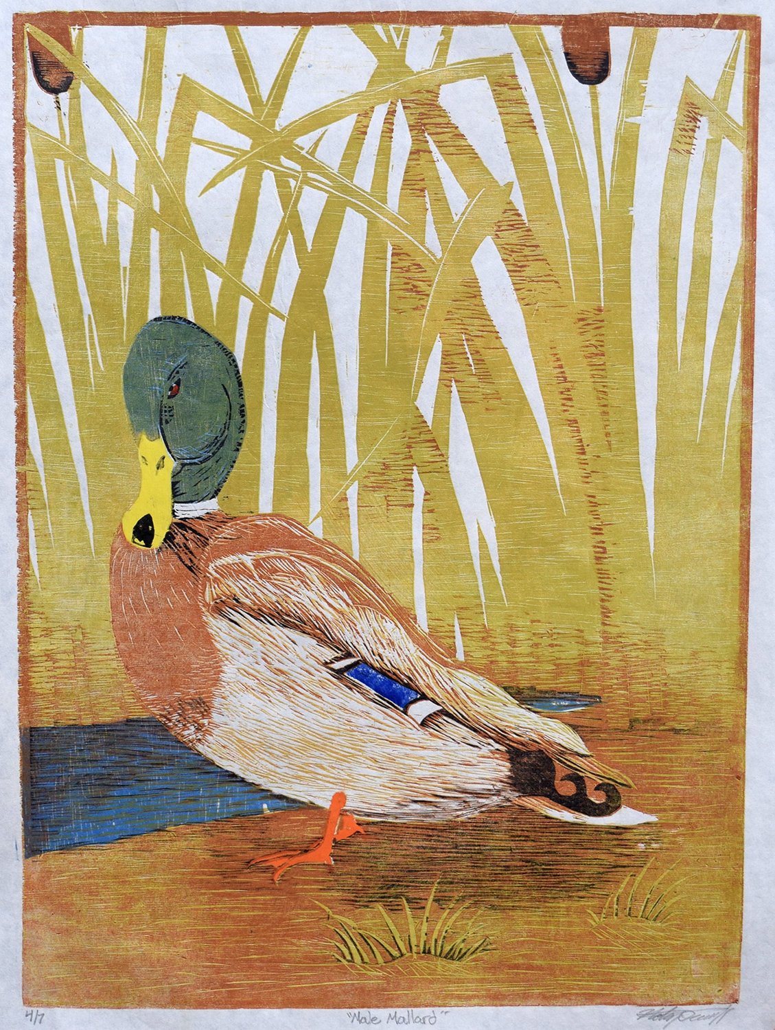 Mallard