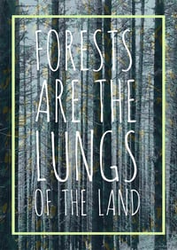 Image 3 of Forests Are The Lungs of The Land