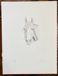 Image 1 of Horse 3