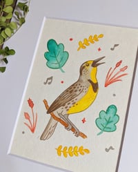Image 2 of Musical Meadowlark