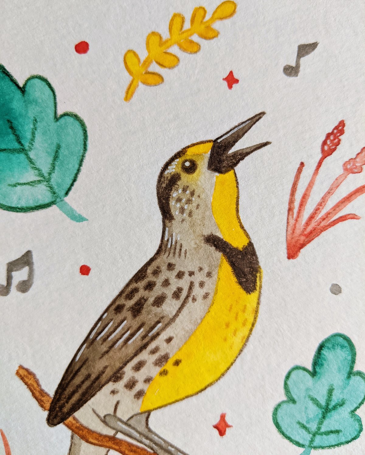 Image of Musical Meadowlark