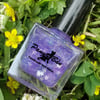 Starry Spring