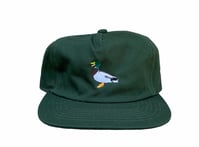 Image 1 of Quack Hat Forest