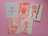 L'AMA