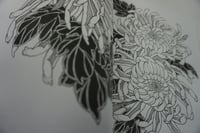 Image 3 of CHRYSANTHEMUM OUTLINES 