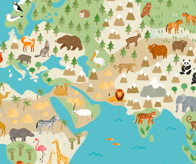 mappamondo illustrato