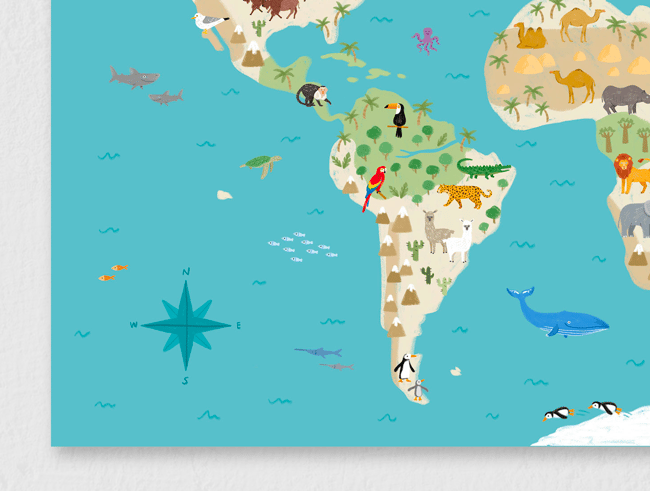 mappamondo illustrato