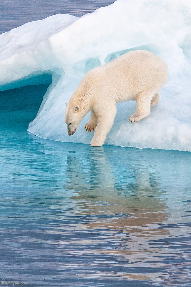 Testing the Water Temperature