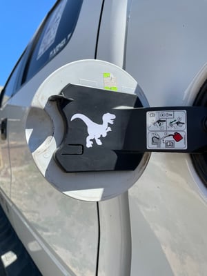 Image of Raptor Easter Egg 