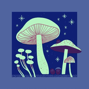 LITTLE MUSHROOM GLOW (Limited Edition Blue and Magenta)