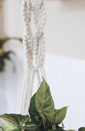 Image of Braiding plant hanger