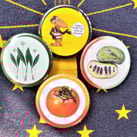 Image 1 of Collections Collection: Indiana Collection II