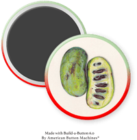 Image 4 of Collections Collection: Indiana Collection II