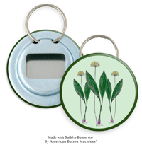 Image 5 of Collections Collection: Indiana Collection II