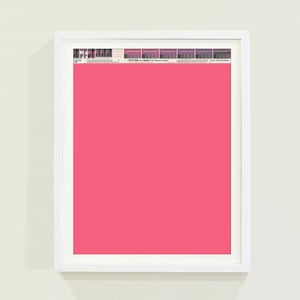 PANTONE® Letraset Posters × Pinks