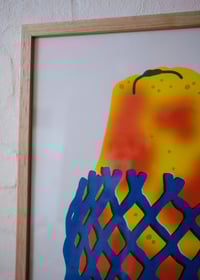 Image 3 of Wrapped Papaya