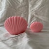 Sea Shells Bundle