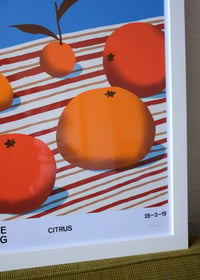 Image 2 of Citrus Poster