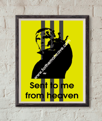 STONE ROSES - THREE STRIPE / SALLY CINNAMON PRINT 