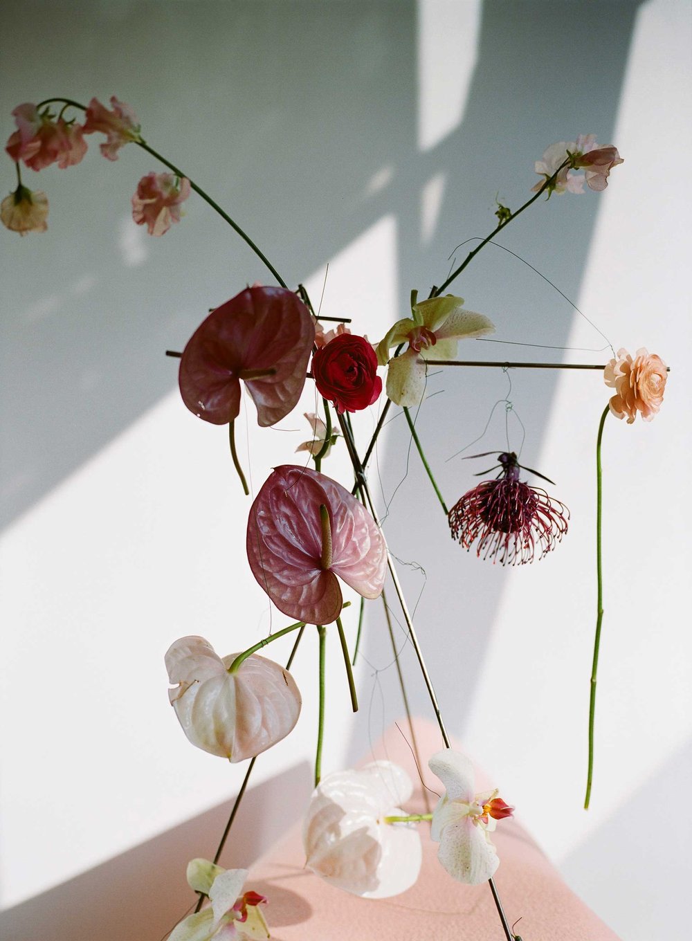 Image of Suspended Flower Installation 2019