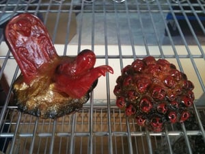 Image of New Years Ghoul 3 and Throne of Skulls