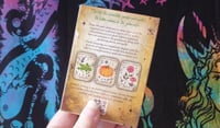 Image 2 of "Green Witch" Oracle Cards