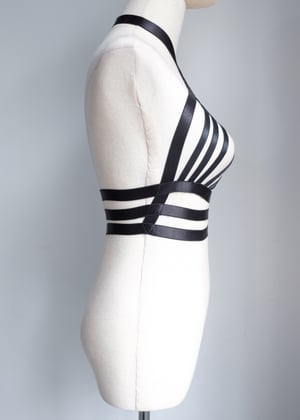 Image of SAMPLE SALE - Unreleased Harness 02