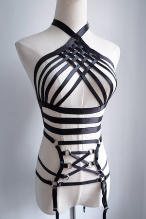 Image of SAMPLE SALE - Unreleased Harness 06