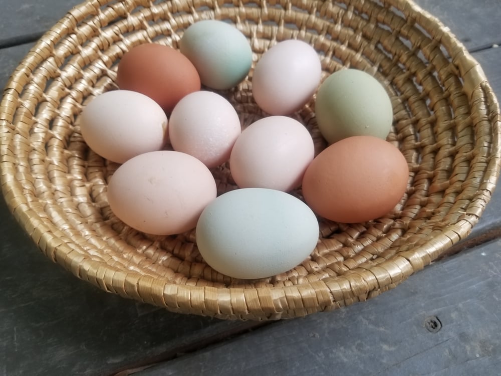 Image of Farm Fresh Chicken Eggs - 1 Dozen