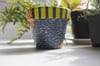 Wrangler - Small Terracotta Pot  