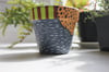 Wrangler - Small Terracotta Pot  