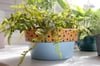 Cushy - Wide Terracotta Pot 
