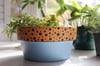 Cushy - Wide Terracotta Pot 