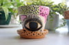 Eye - Small Terracotta Pot