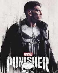 The Punisher Complete DVD Series!