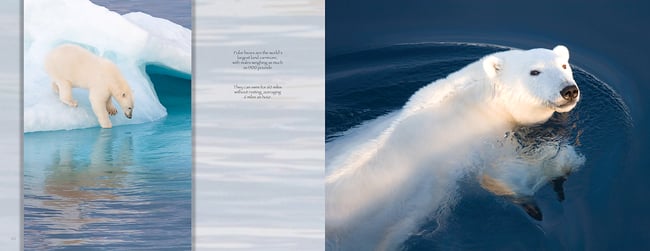 ICE: At the Ends of the Earth