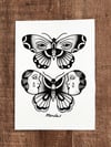 Butterfly Ladies, Original