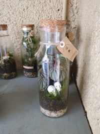 Image 2 of Till Death Us Do Part