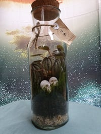 Image 3 of Till Death Us Do Part