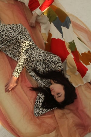 Image of COLOR FIELD Maxi (originally $348) Size 4